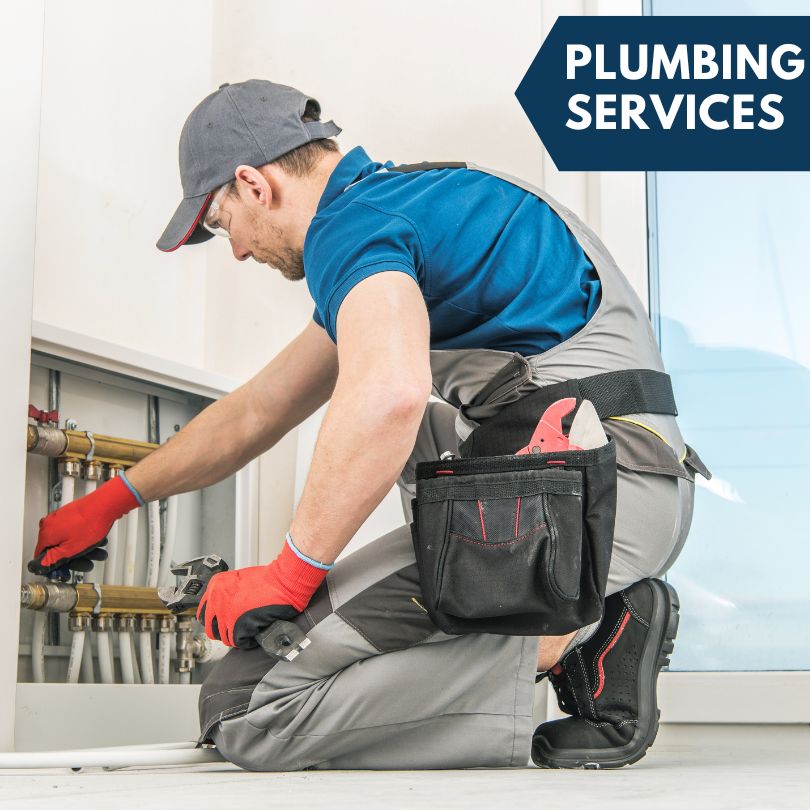 Elmira Plumbing Company